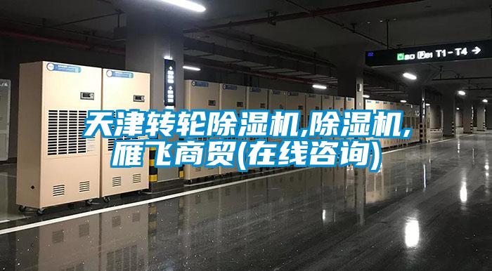 天津转轮91香蕉视频官网机,91香蕉视频官网机,雁飞商贸(在线咨询)