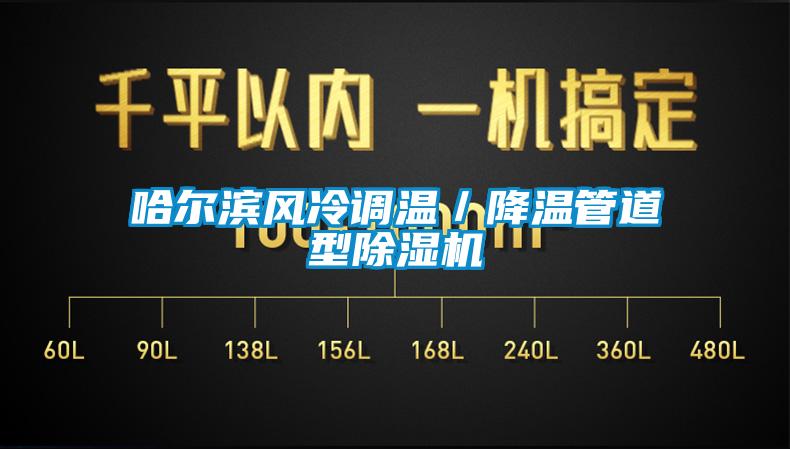 哈尔滨风冷调温／降温管道型91香蕉视频官网机