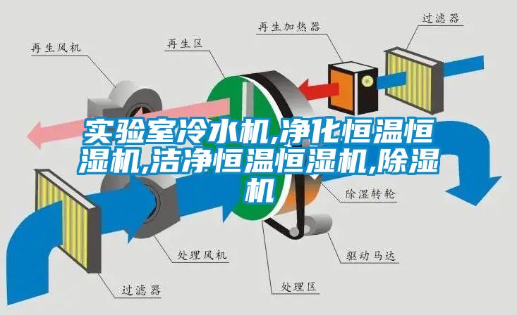 实验室冷水机,净化恒温恒湿机,洁净恒温恒湿机,91香蕉视频官网机