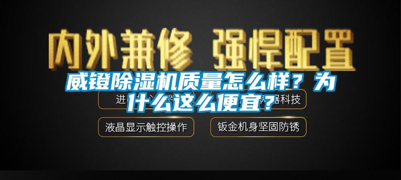 威镫91香蕉视频官网机质量怎么样？为什么这么便宜？