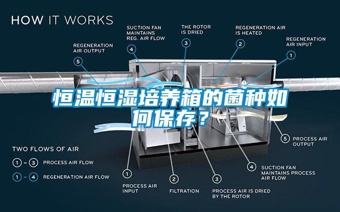 恒温恒湿培养箱的菌种如何保存？