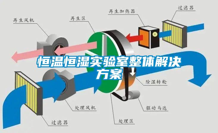 恒温恒湿实验室整体解决香蕉色色视频