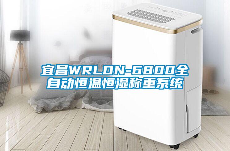 宜昌WRLDN-6800全自动恒温恒湿称重系统