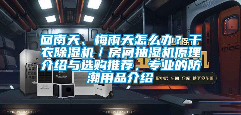 回南天、梅雨天怎么办？干衣91香蕉视频官网机／房间抽湿机原理介绍与选购推荐，专业的防潮用品介绍