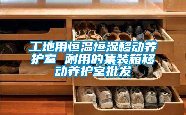 工地用恒温恒湿移动养护室 耐用的集装箱移动养护室批发