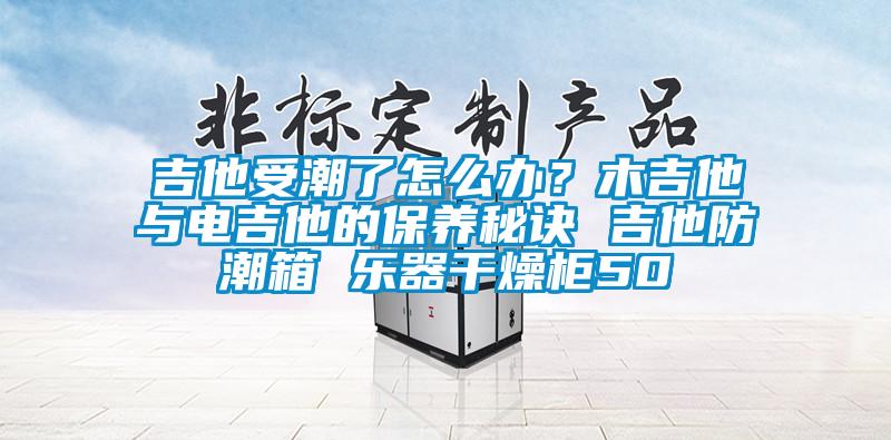 吉他受潮了怎么办？木吉他与电吉他的保养秘诀 吉他防潮箱 乐器干燥柜50