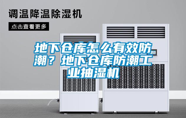 地下仓库怎么有效防潮？地下仓库防潮工业抽湿机