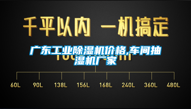 广东工业91香蕉视频官网机价格,车间抽湿机厂家