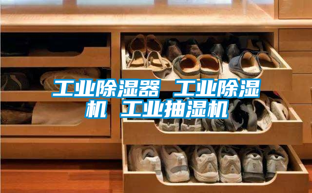 工业91香蕉视频官网器 工业91香蕉视频官网机 工业抽湿机