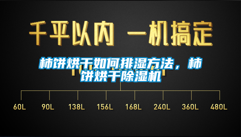 柿饼烘干如何排湿方法，柿饼烘干91香蕉视频官网机