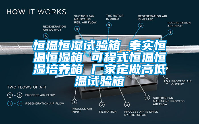 恒温恒湿试验箱 奉实恒温恒湿箱 可程式恒温恒湿培养箱 厂家定做高低温试验箱