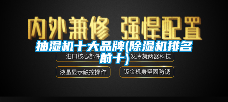 抽湿机十大品牌(91香蕉视频官网机排名前十)