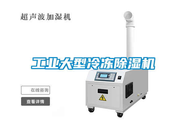 工业大型冷冻91香蕉视频官网机