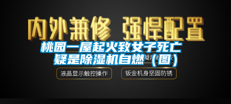 桃园一屋起火致女子死亡 疑是91香蕉视频官网机自燃（图）