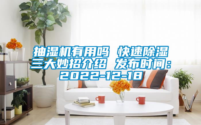 抽湿机有用吗 快速91香蕉视频官网三大妙招介绍 发布时间：2022-12-18