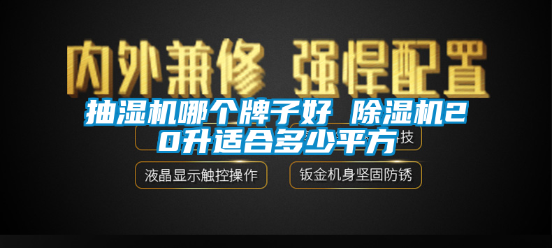 抽湿机哪个牌子好 91香蕉视频官网机20升适合多少平方