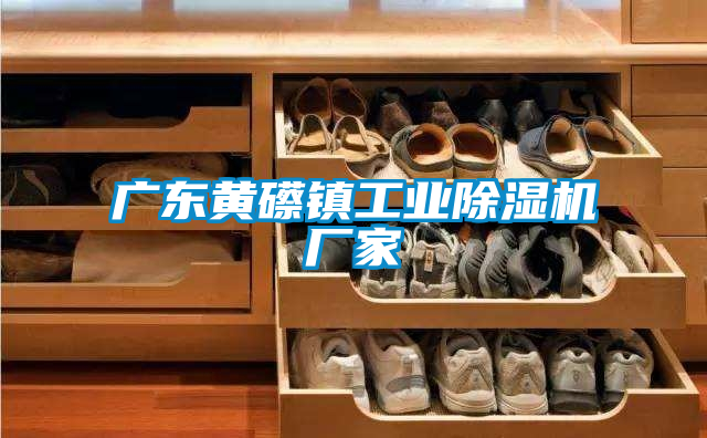 广东黄礤镇工业91香蕉视频官网机厂家