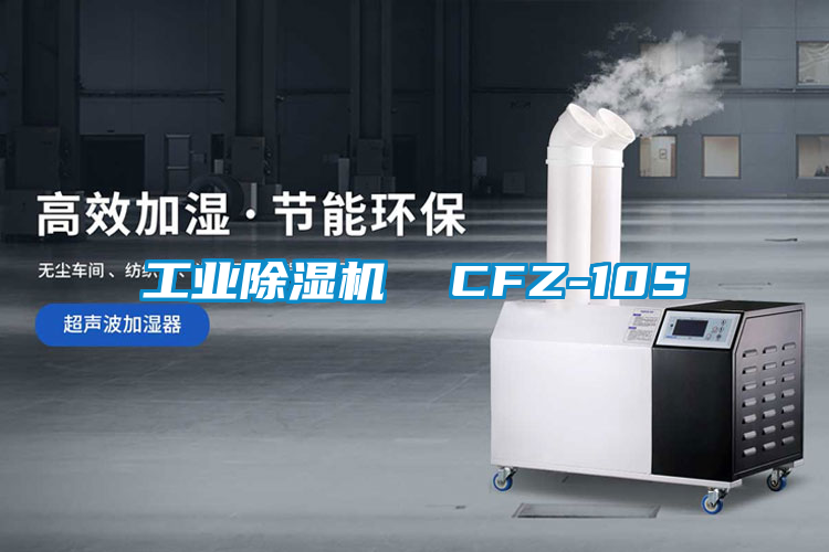 工业91香蕉视频官网机  CFZ-10S