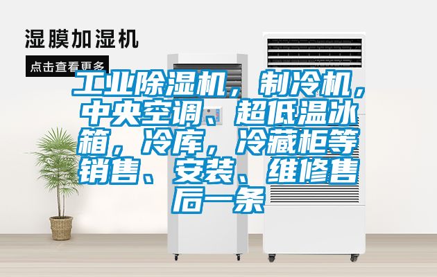 工业91香蕉视频官网机，制冷机，中央空调、超低温冰箱，冷库，冷藏柜等销售、安装、维修售后一条