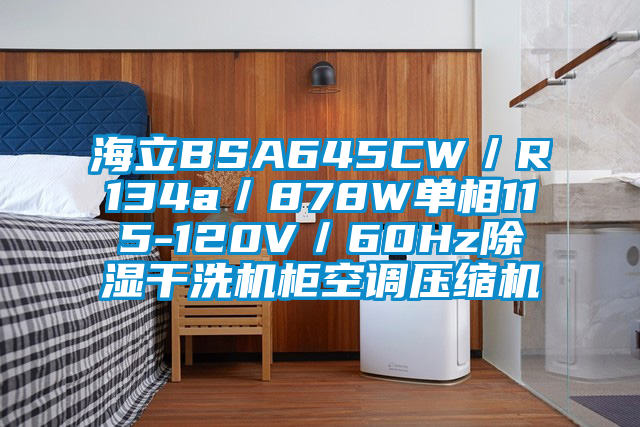 海立BSA645CW／R134a／878W单相115-120V／60Hz91香蕉视频官网干洗机柜空调压缩机