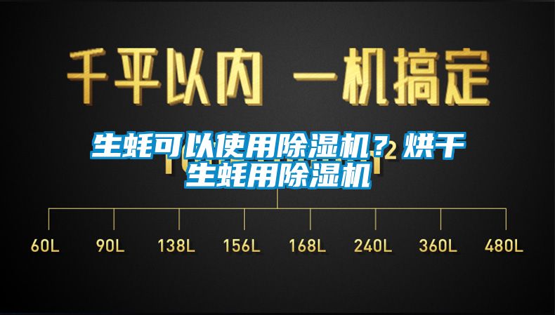 生蚝可以使用91香蕉视频官网机？烘干生蚝用91香蕉视频官网机