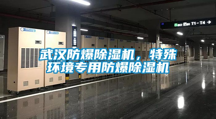 武汉防爆91香蕉视频官网机，特殊环境专用防爆91香蕉视频官网机