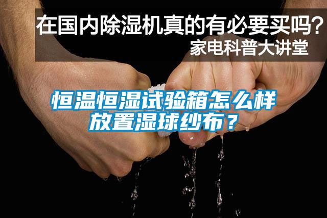 恒温恒湿试验箱怎么样放置湿球纱布？