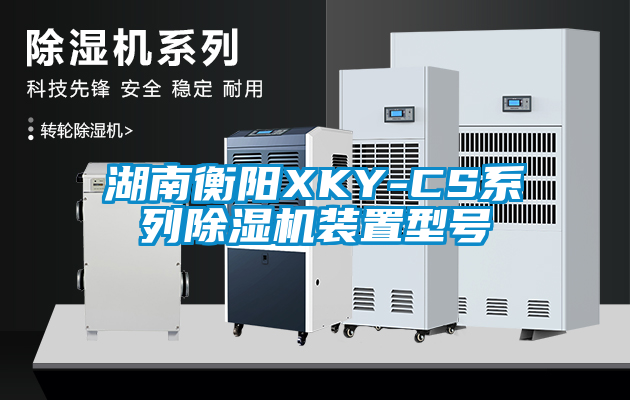 湖南衡阳XKY-CS系列91香蕉视频官网机装置型号