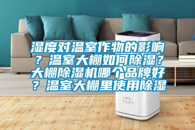 湿度对温室作物的影响？温室大棚如何91香蕉视频官网？大棚91香蕉视频官网机哪个品牌好？温室大棚里使用91香蕉视频官网