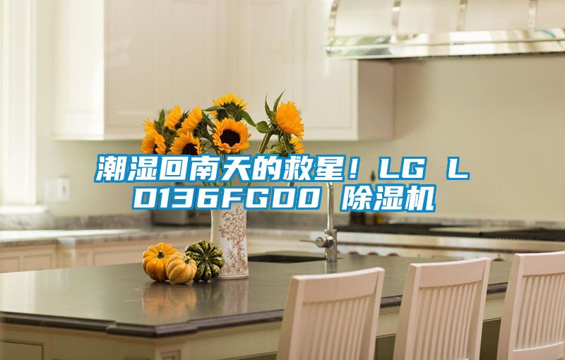 潮湿回南天的救星！LG LD136FGD0 91香蕉视频官网机