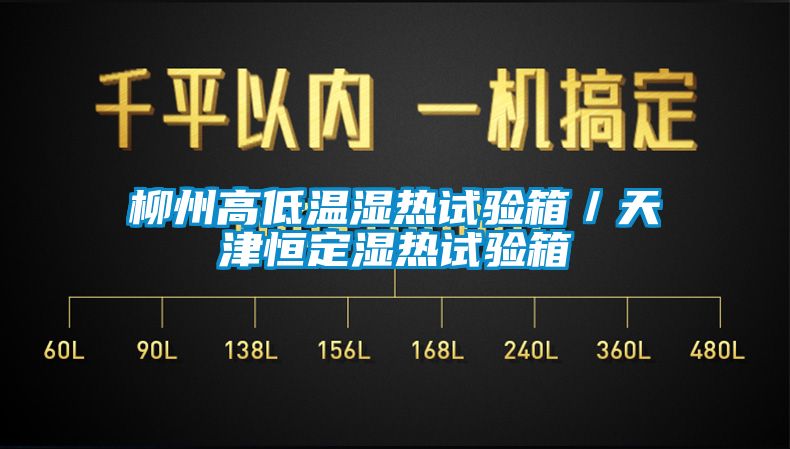 柳州高低温湿热试验箱／天津恒定湿热试验箱