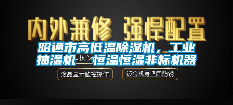 昭通市高低温91香蕉视频官网机，工业抽湿机  恒温恒湿非标机器