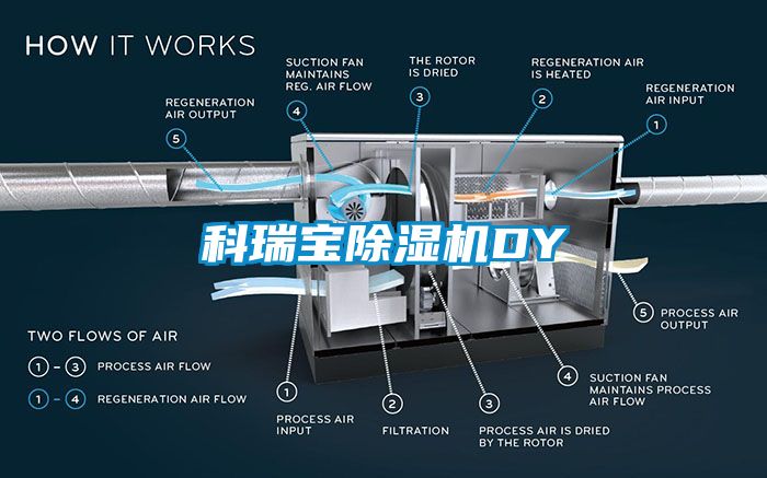 科瑞宝91香蕉视频官网机DY