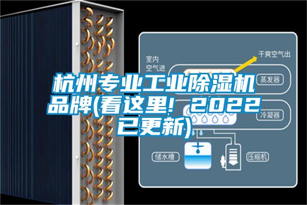 杭州专业工业91香蕉视频官网机品牌(看这里! 2022已更新)