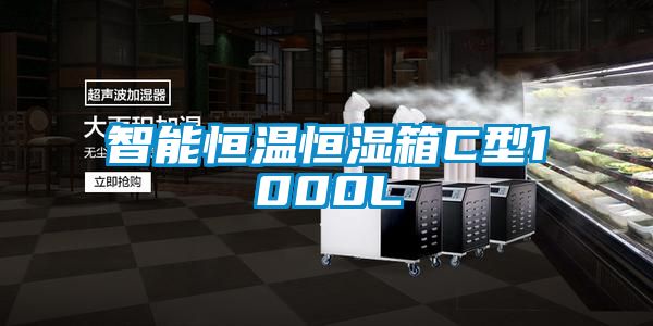 智能恒温恒湿箱C型1000L