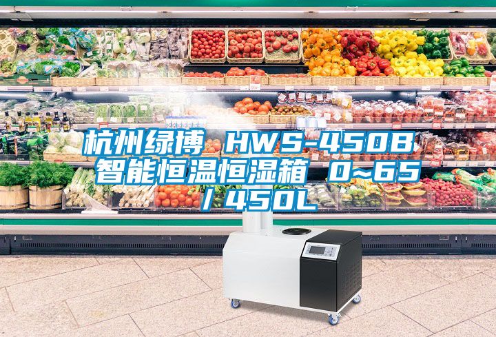 杭州绿博 HWS-450B 智能恒温恒湿箱 0~65℃／450L