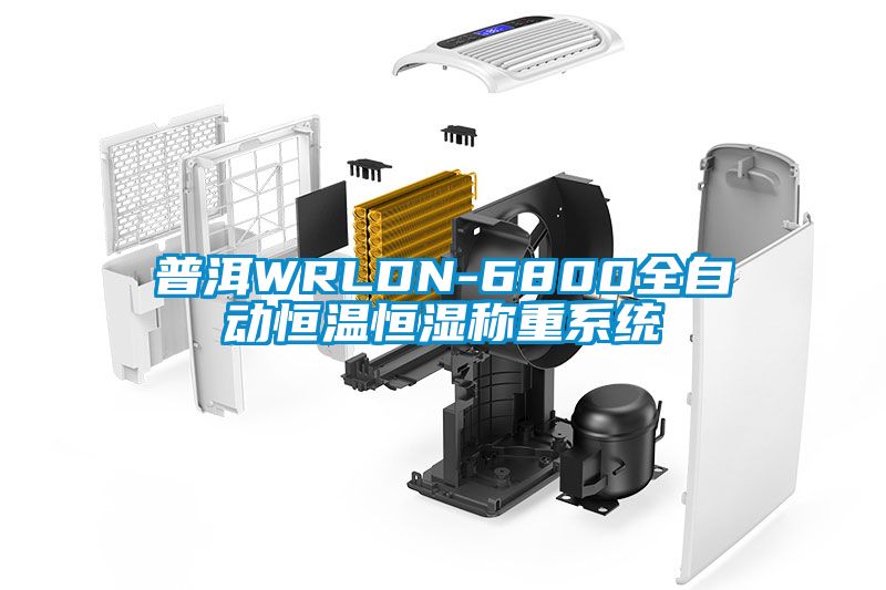 普洱WRLDN-6800全自动恒温恒湿称重系统