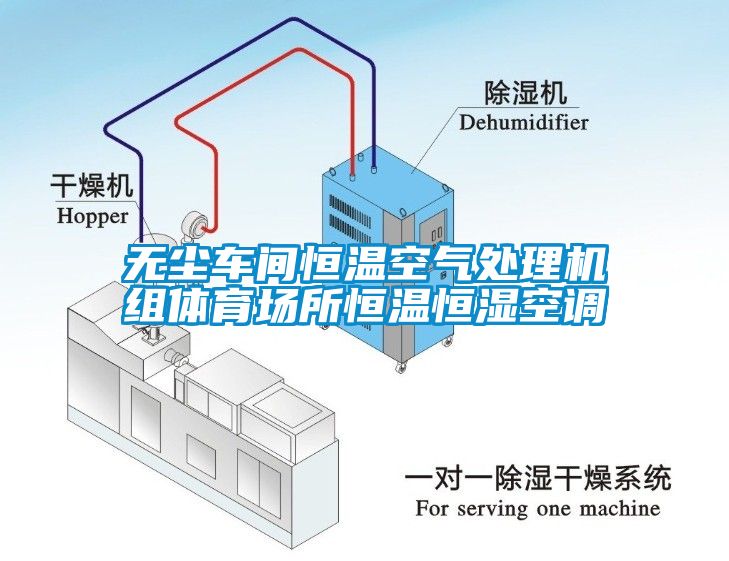 无尘车间恒温空气处理机组体育场所恒温恒湿空调