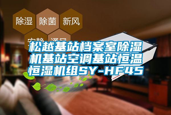 松越基站档案室91香蕉视频官网机基站空调基站恒温恒湿机组SY-HF45