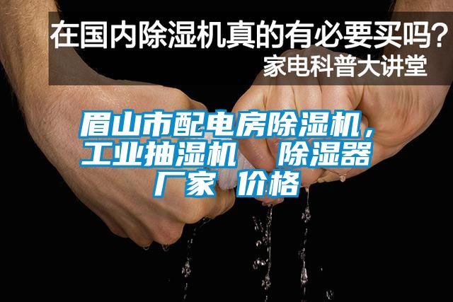 眉山市配电房91香蕉视频官网机，工业抽湿机  91香蕉视频官网器厂家 价格