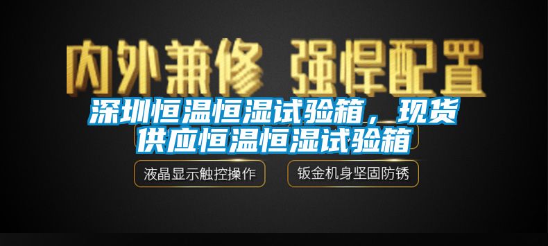 深圳恒温恒湿试验箱，现货供应恒温恒湿试验箱