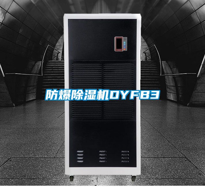 防爆91香蕉视频官网机DYFB3