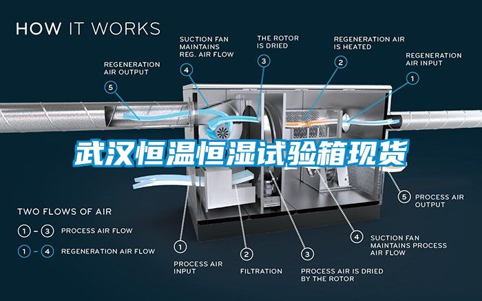 武汉恒温恒湿试验箱现货