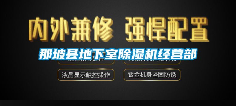 那坡县地下室91香蕉视频官网机经营部