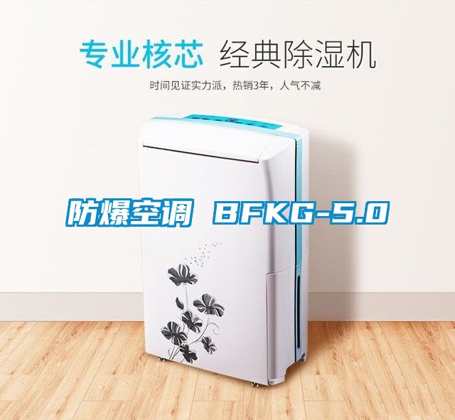 防爆空调 BFKG-5.0