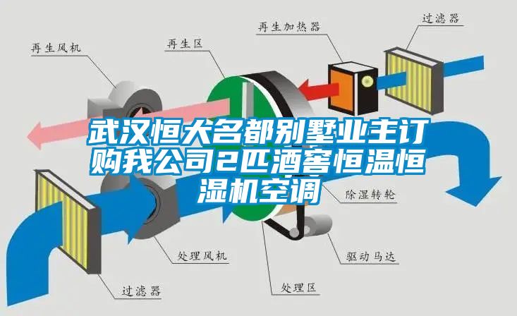 武汉恒大名都别墅业主订购我公司2匹酒窖恒温恒湿机空调