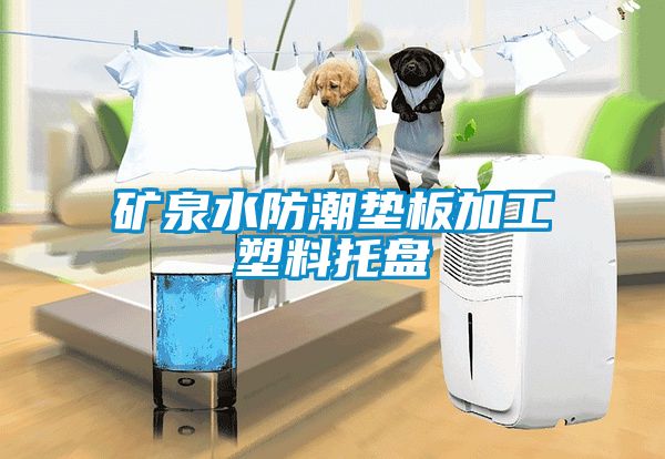 矿泉水防潮垫板加工塑料托盘