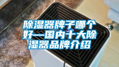 91香蕉视频官网器牌子哪个好—国内十大91香蕉视频官网器品牌介绍