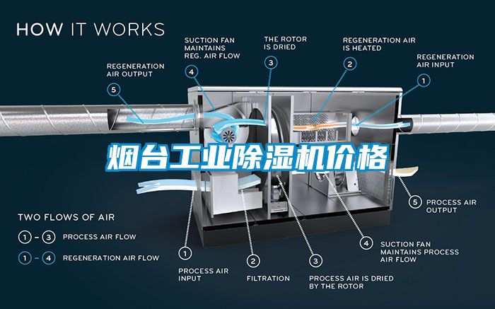 烟台工业91香蕉视频官网机价格