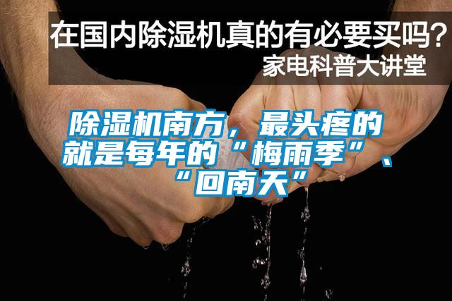 91香蕉视频官网机南方，最头疼的就是每年的“梅雨季”、“回南天”